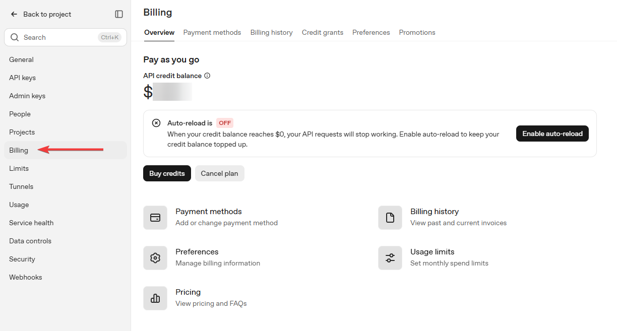 OpenAI Platform billing overview showing the API credit balance and payment settings.
