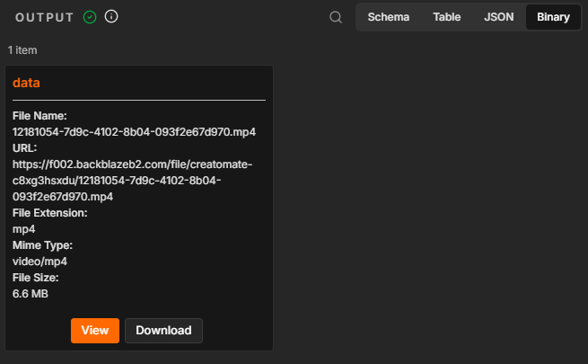 Finished video with animated subtitles downloaded as an MP4 file in n8n.