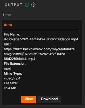 Finished MP4 file returned by the completed n8n workflow.